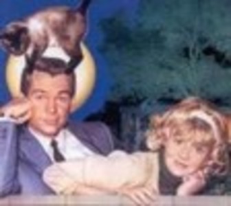 Милдред  Гордон