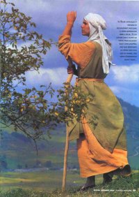 Зима катаризма