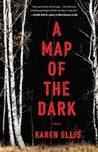 A Map of the Dark
