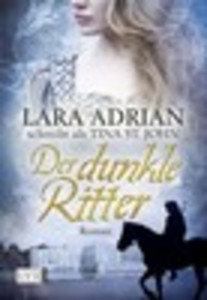 Der dunkle Ritter (Band 2)