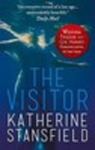 The Visitor