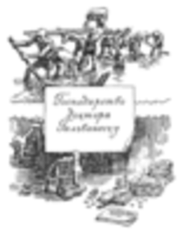 Господарство доктора Гальванеску