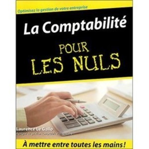 La comptabilité pour les nuls