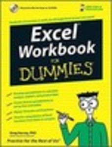 Excel® Workbook For Dummies®