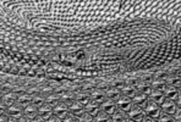 Джентльмен змеиного мира