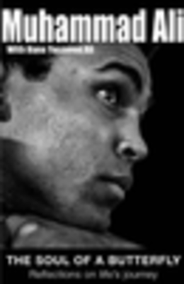 The Soul of a Butterfly: Reflections on Life's Journey