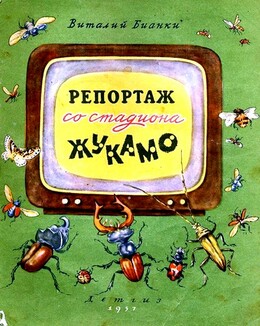 Репортаж со стадиона «Жукамо»