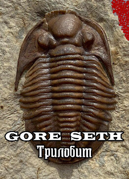 Трилобит (СИ)