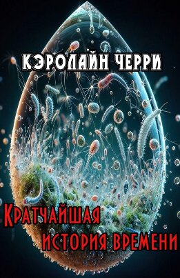 Кратчайшая история времени