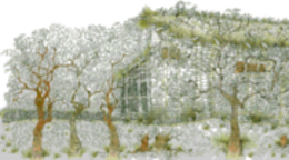 Тишина Маусли Бартон