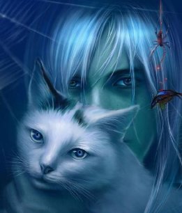 Кошачий бум