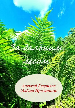 За дальним лесом