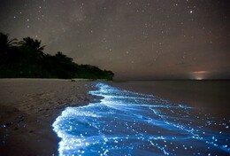 Истории с Алитавы