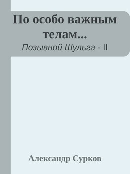 Позывной Шульга