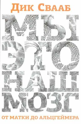 Мы —  это наш мозг. От матки до Альцгеймера