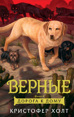 Дорога к дому