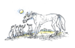 Эрнст-Габриэль