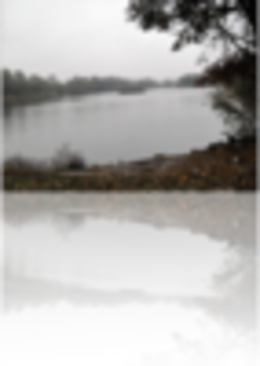 Заслучанські робінзони