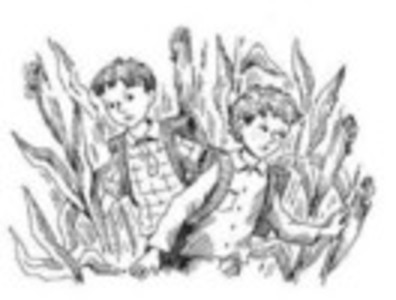 Пригода в кукурудзі (збірник)